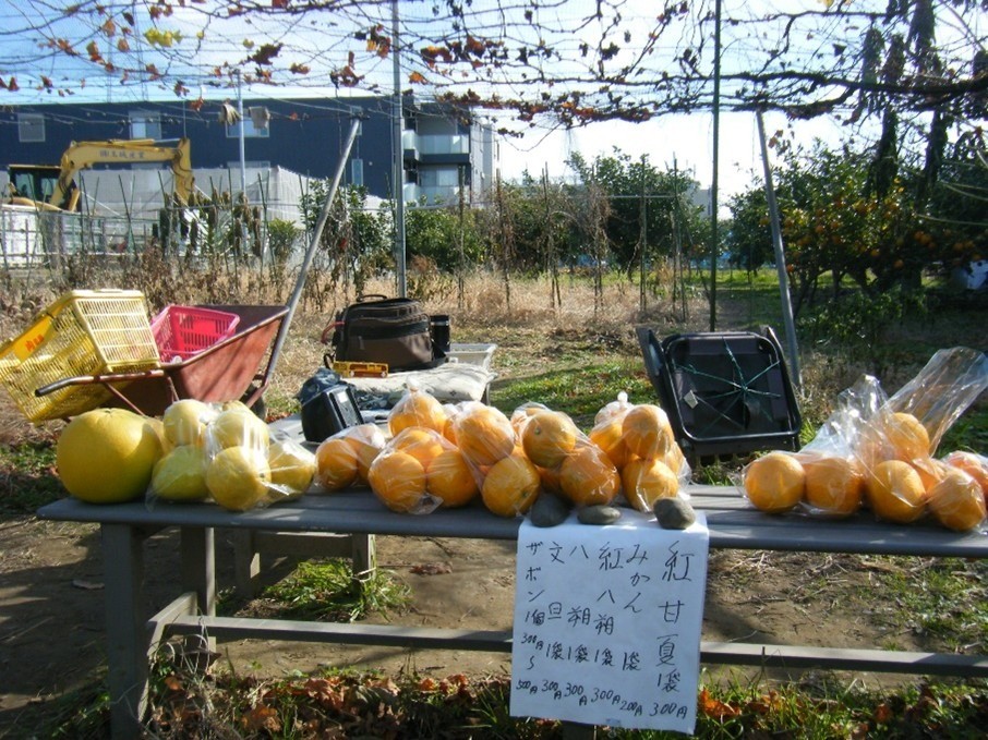 6面　こんな川崎　これも川崎