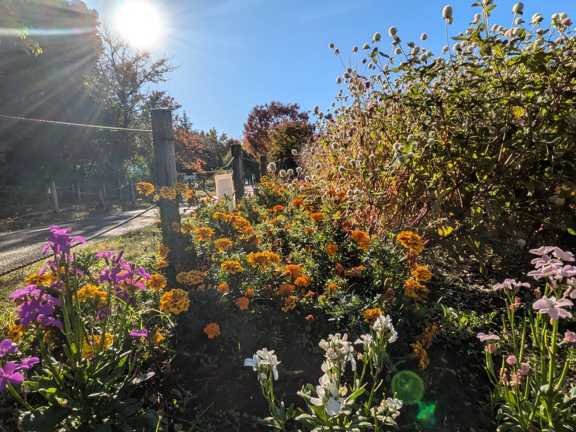 こんな川崎　さいわいふるさと公園